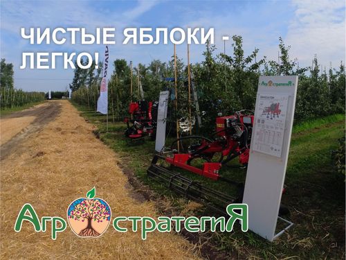Чистые яблоки - легко. Агростратегия, перспективное садоводство
