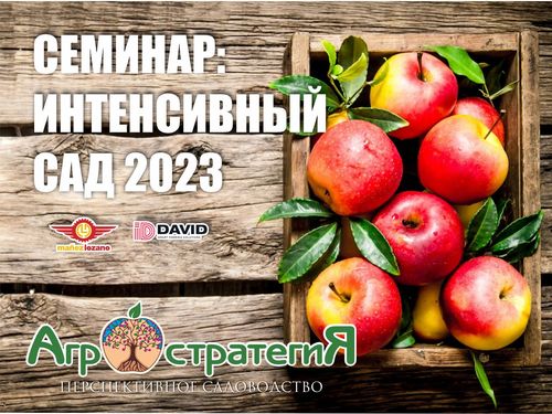 Все в сад, товарищи!